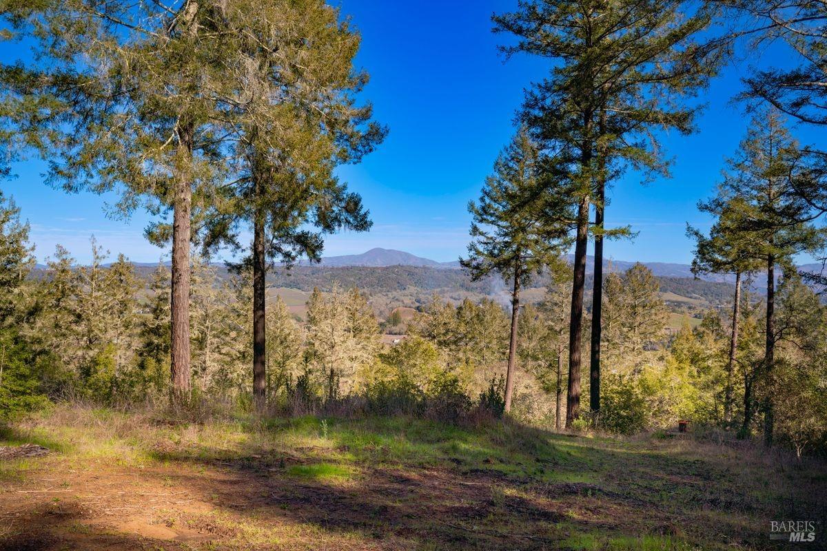 3210 West Dry Creek Road Healdsburg, CA 95448 - Photo 41 of 43