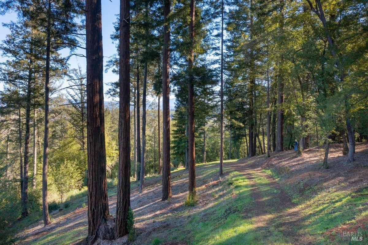 3210 West Dry Creek Road Healdsburg, CA 95448 - Photo 7 of 43