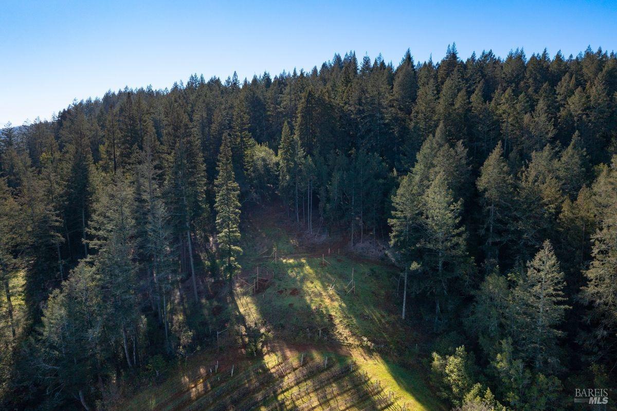 3210 West Dry Creek Road Healdsburg, CA 95448 - Photo 8 of 43