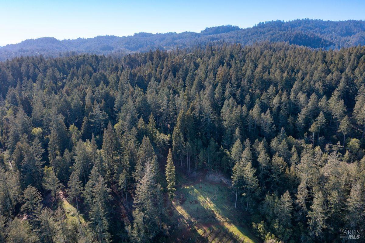 3210 West Dry Creek Road Healdsburg, CA 95448 - Photo 9 of 43