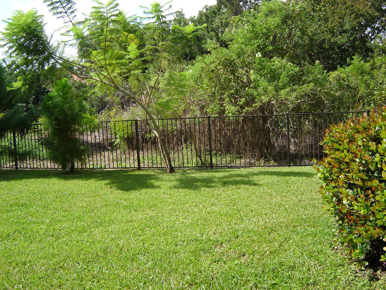 250 Southwest Walking Path Stuart, FL 34997 - Photo 5 of 19 Back garden and preserve