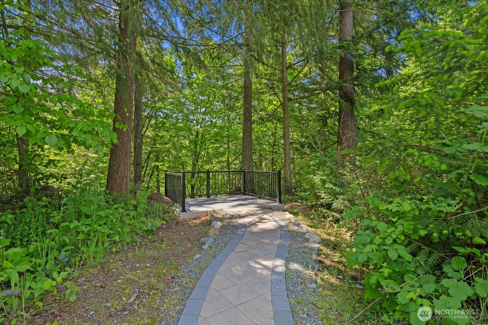 20434 Benson Ridge Mount Vernon, WA 98274 - Photo 24 of 31 a view of a yard with plants and large trees