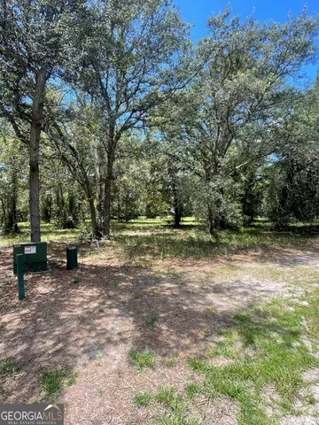 a view of a park with large trees