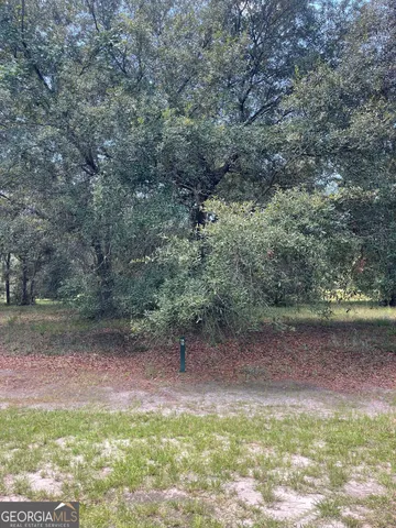 a view of a yard with a tree
