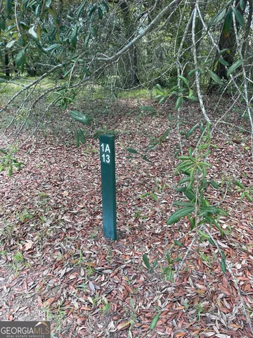 a close up of a tree in a yard