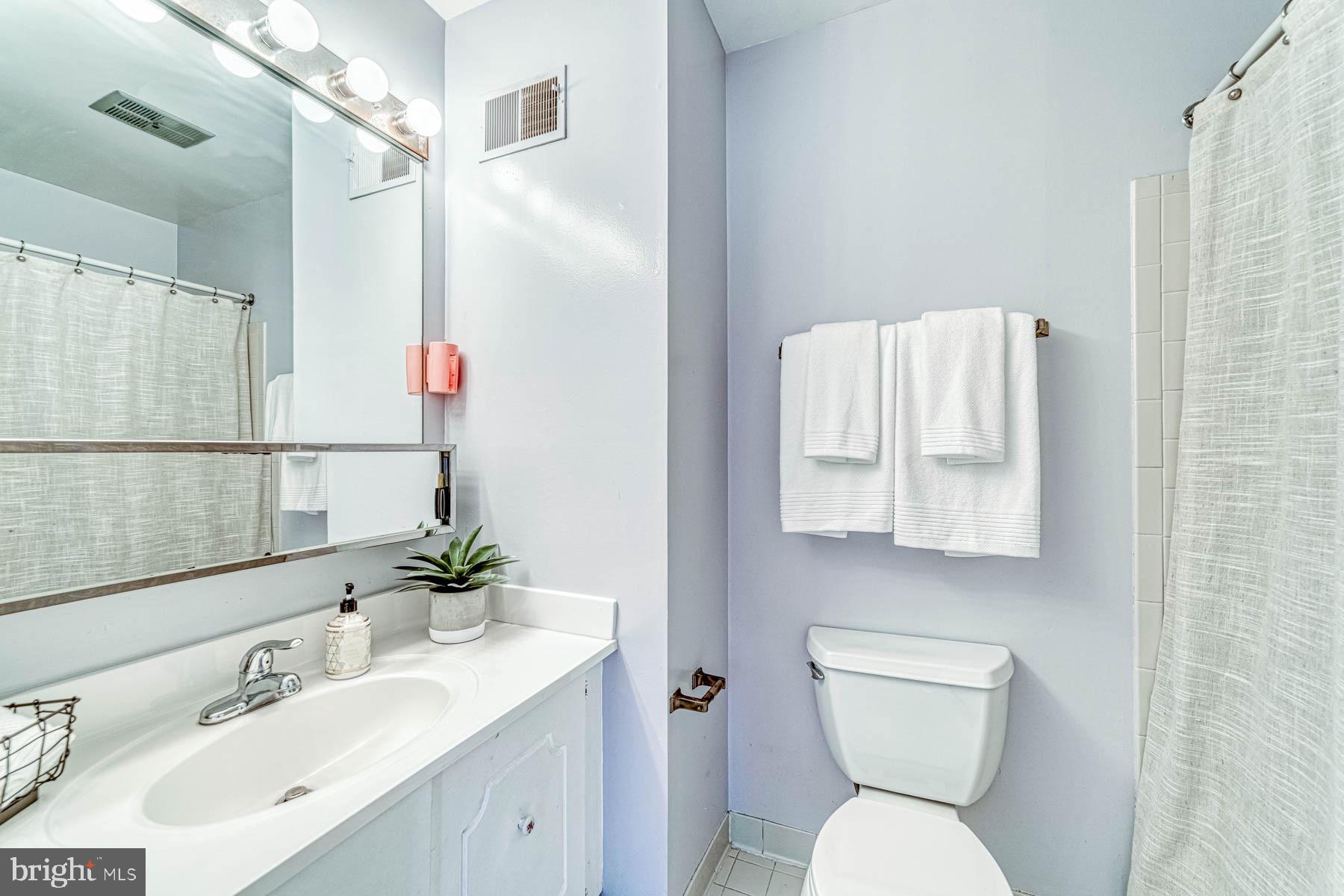6657 Summer Grape Court Springfield, VA 22152 - Photo 19 of 40 Primary Bathroom