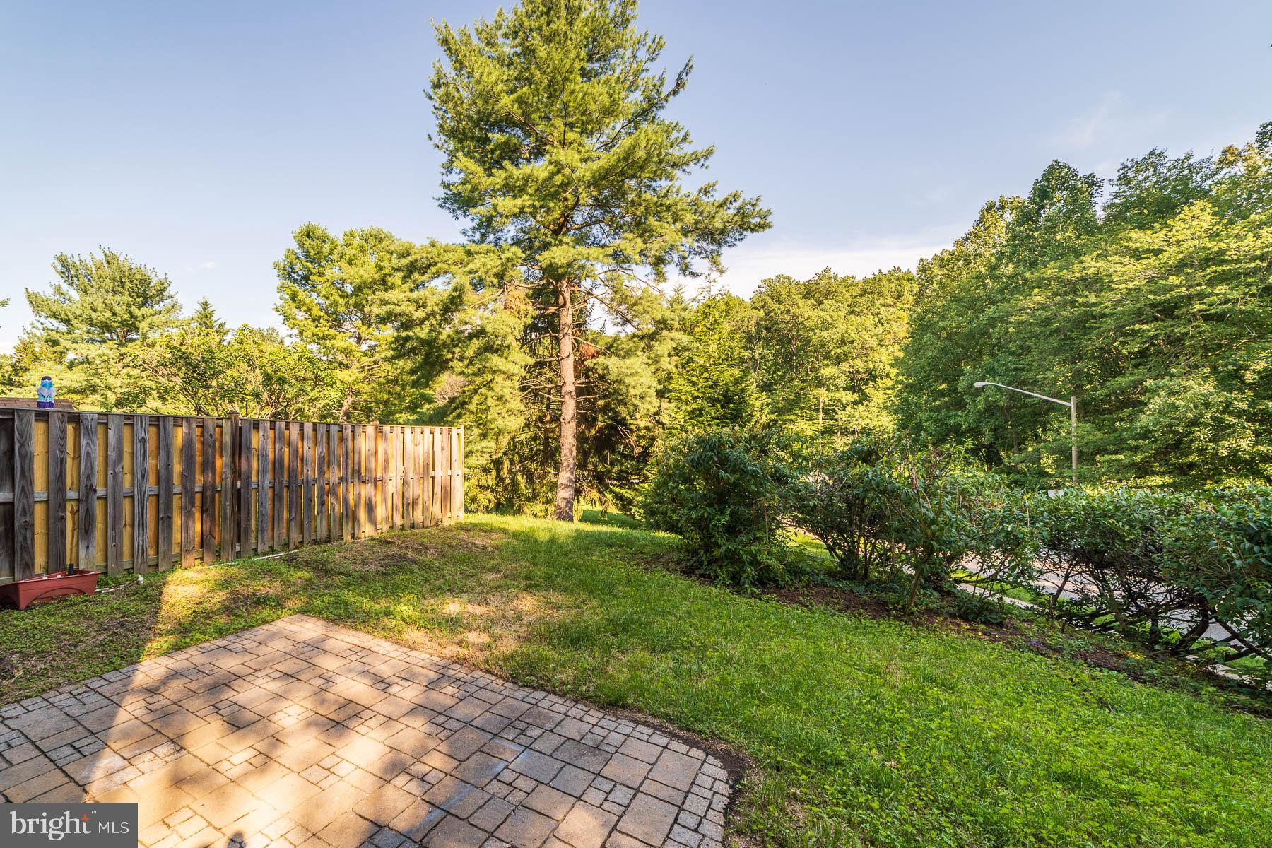 6657 Summer Grape Court Springfield, VA 22152 - Photo 34 of 40 Backs to Trees