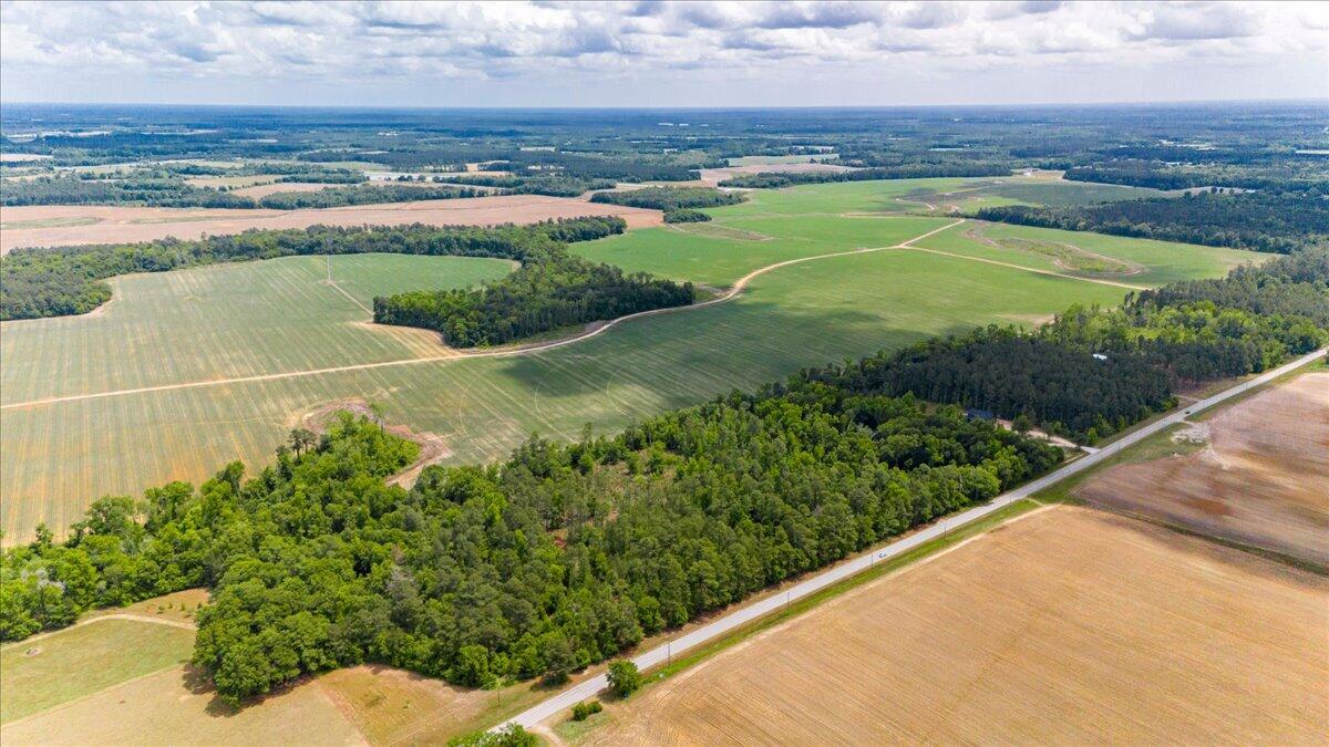 0 Herndon Road Waynesboro, GA 30830 - Photo 4 of 12 11-011-