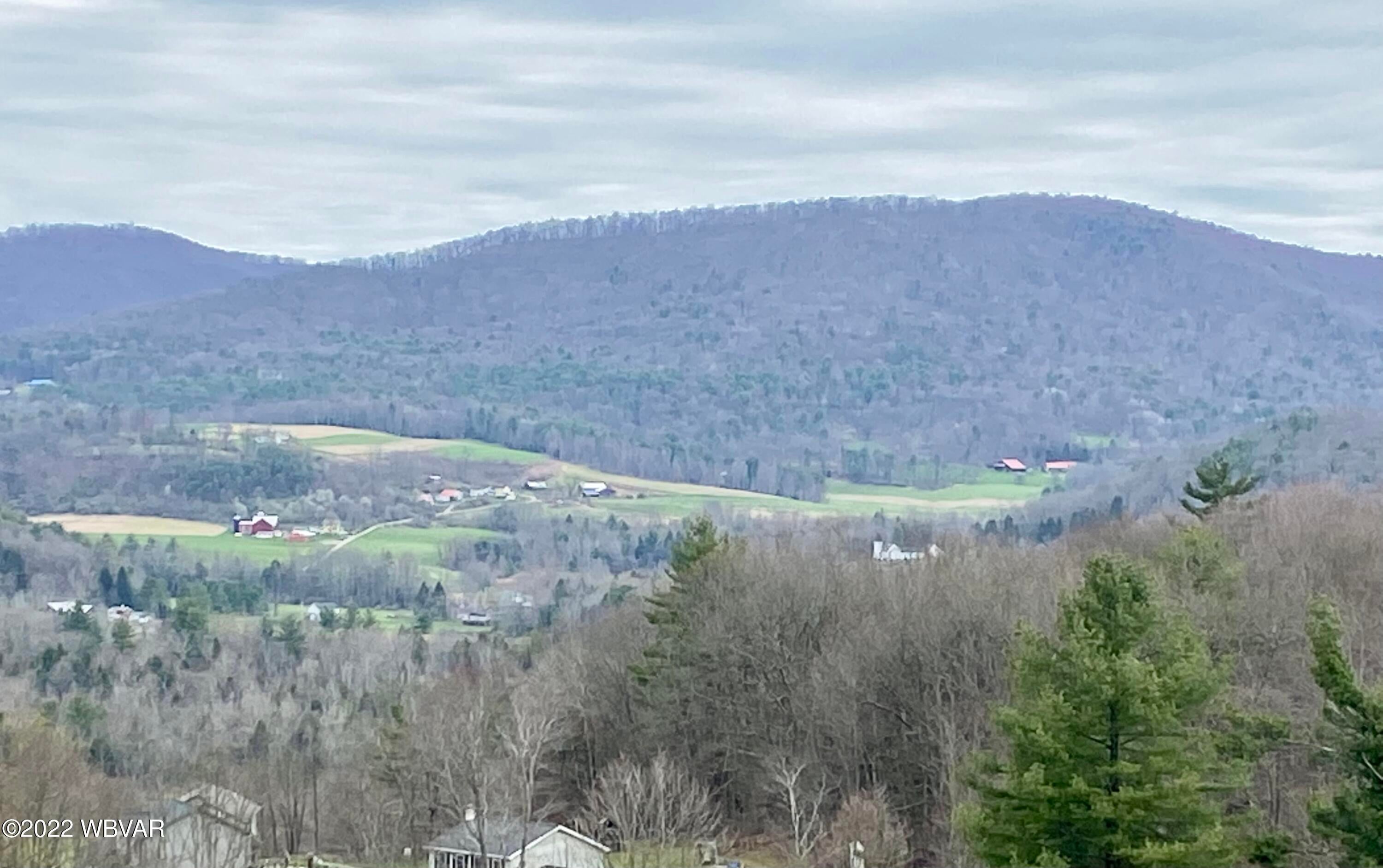 0 North Shaffer Hill Road Cogan Station, PA 17728 - Photo 23 of 58 Gallery Image 23