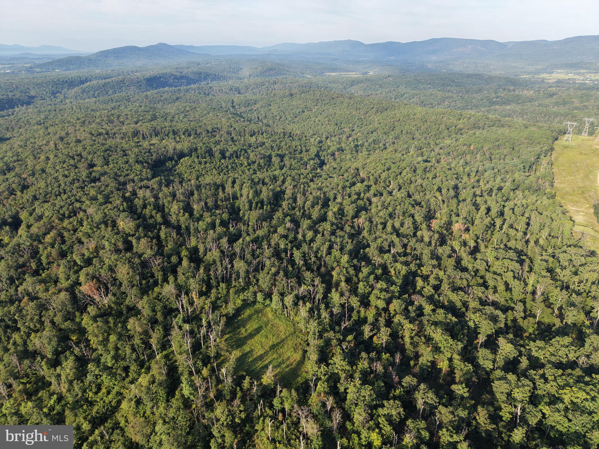 2 158.43 /- Acres Laurel Grove Road Winchester, VA 22602 - Photo 13 of 37 Gallery Image 13
