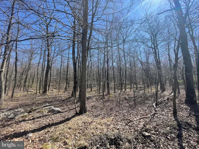 $9,500 | 556-557 Hay Stack Drive, Zion Grove, PA 17985