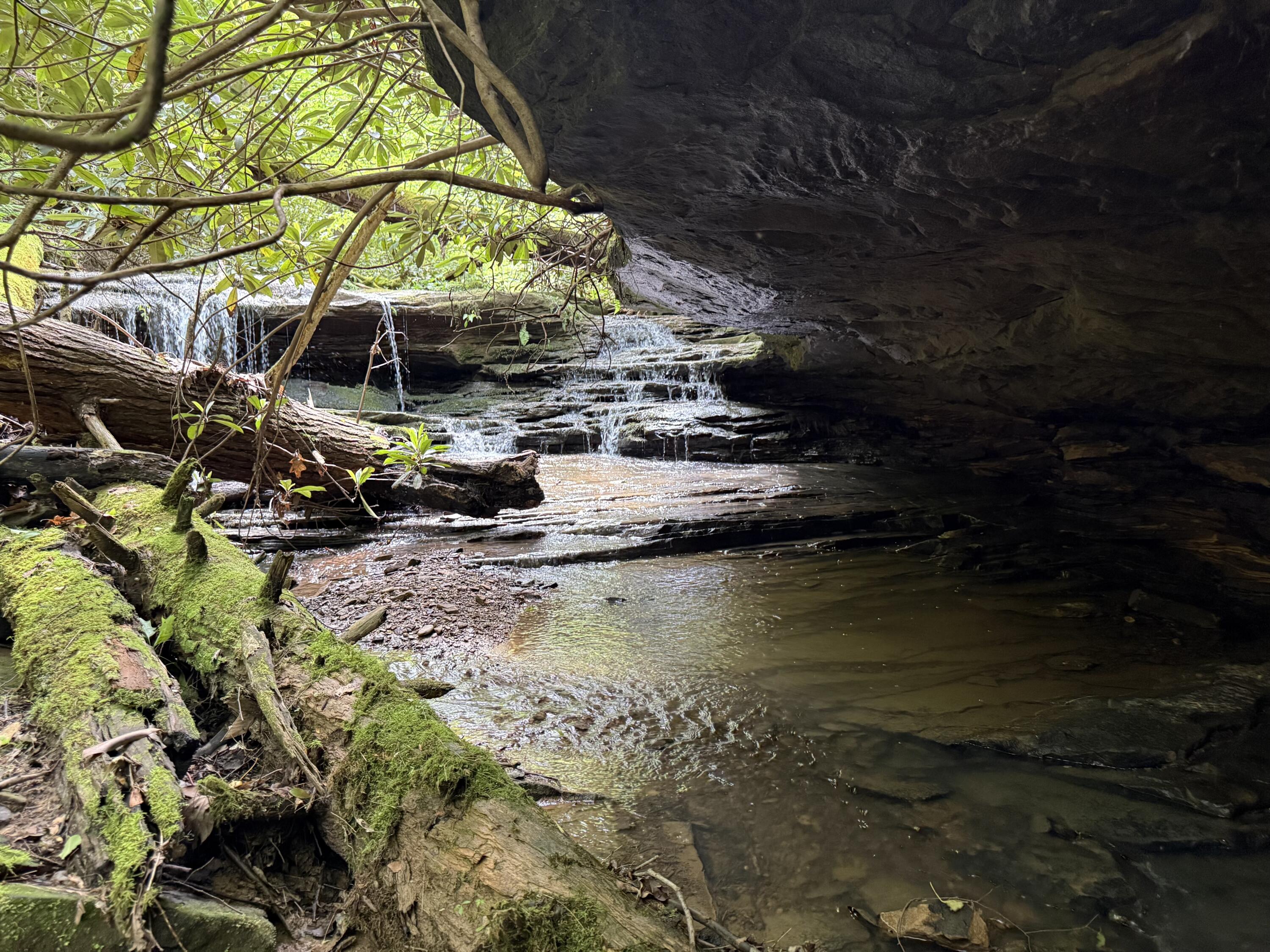 342 Dewey Banks Road Campton, KY 41301 - Photo 14 of 64 014 I am liking the numerous waterfalls