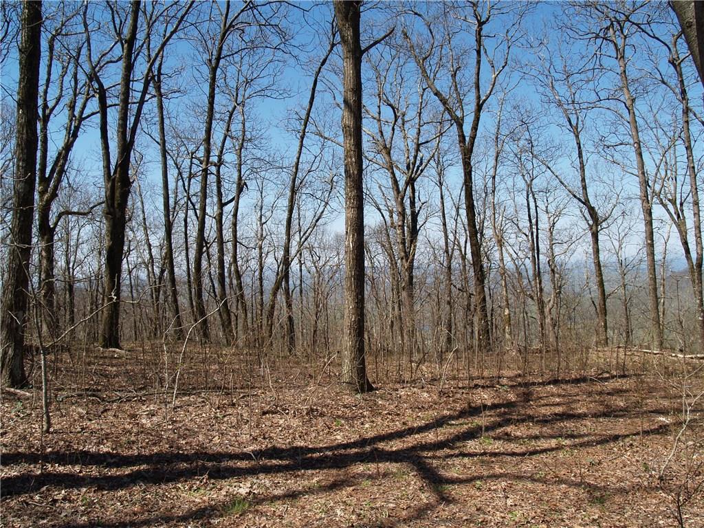 Lot 14 Monument Road Jasper, GA 30143 - Photo 1 of 1