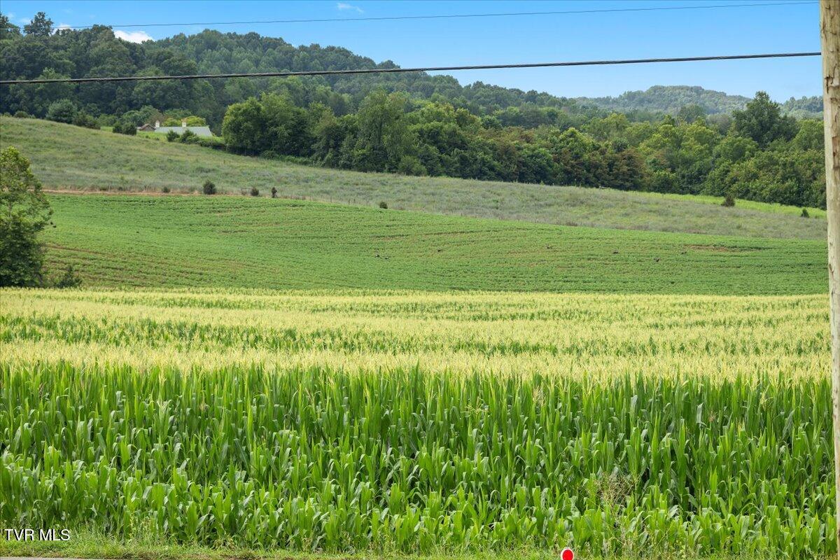 589 Pleasant Valley Road Jonesborough, TN 37659 - Photo 45 of 48 06-128A2896
