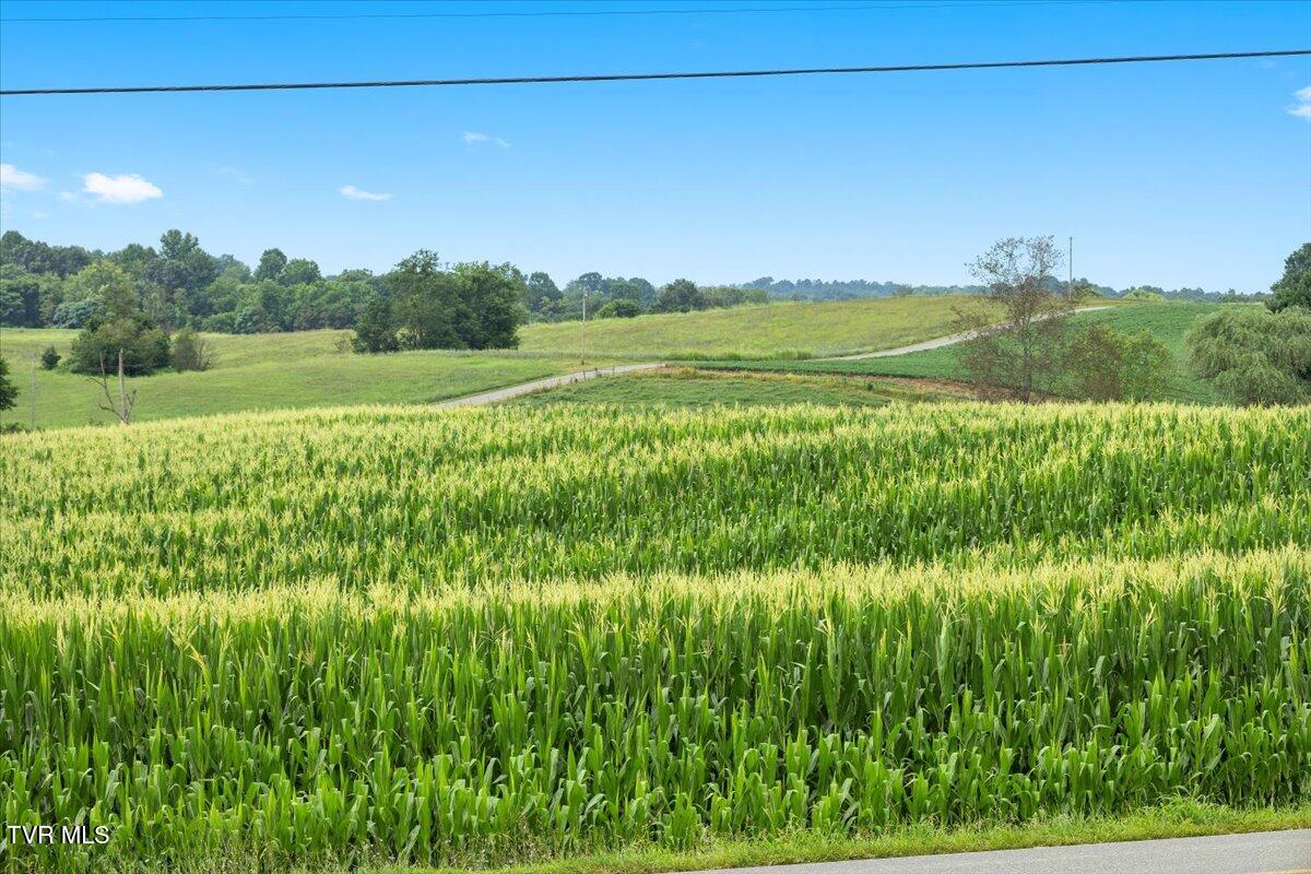 589 Pleasant Valley Road Jonesborough, TN 37659 - Photo 46 of 48 07-128A2897