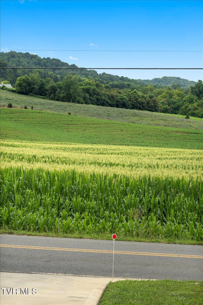 589 Pleasant Valley Road Jonesborough, TN 37659 - Photo 47 of 48 08-128A2898