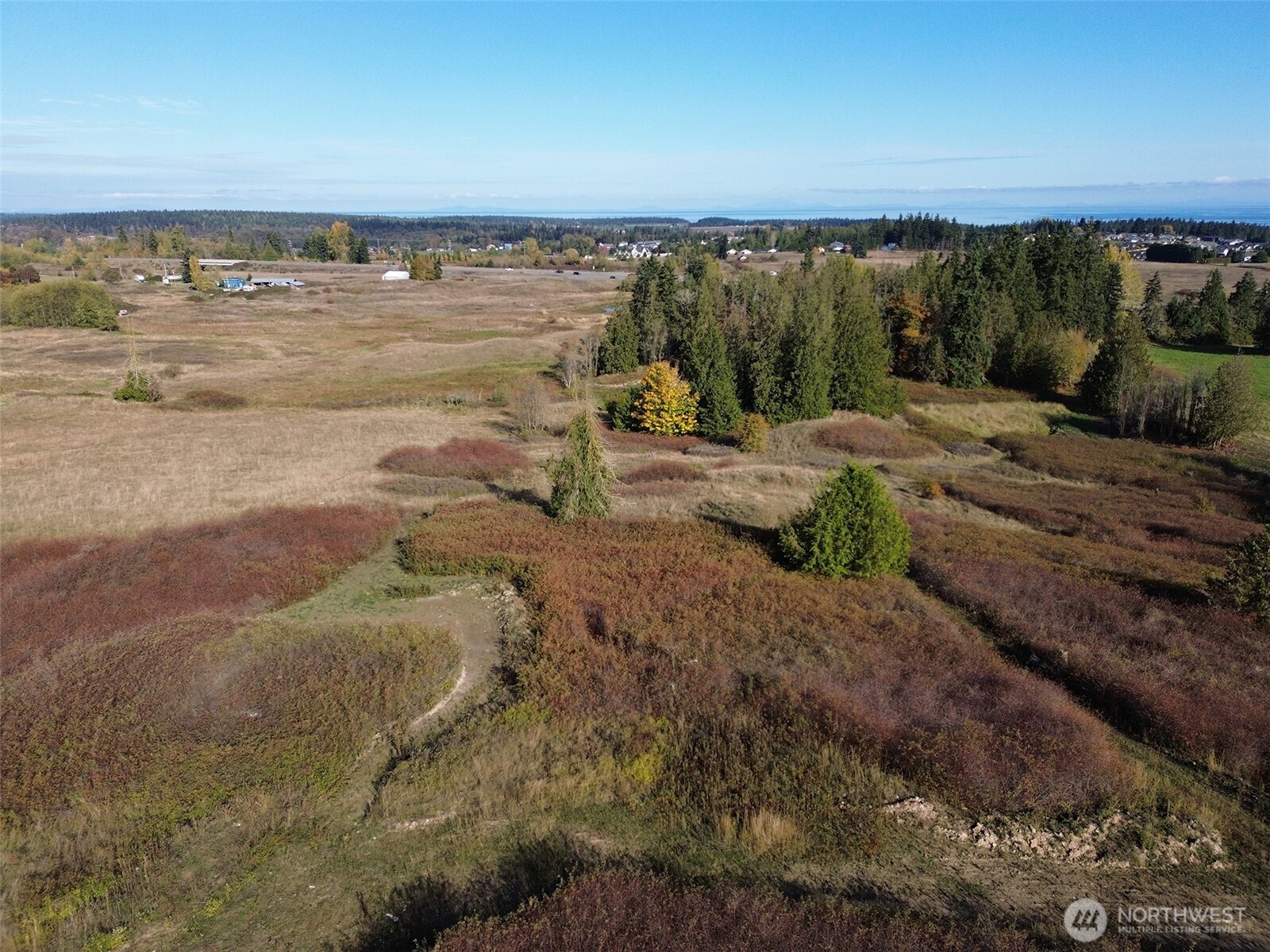 577 Simdars Road Sequim, WA 98382 - Photo 6 of 18