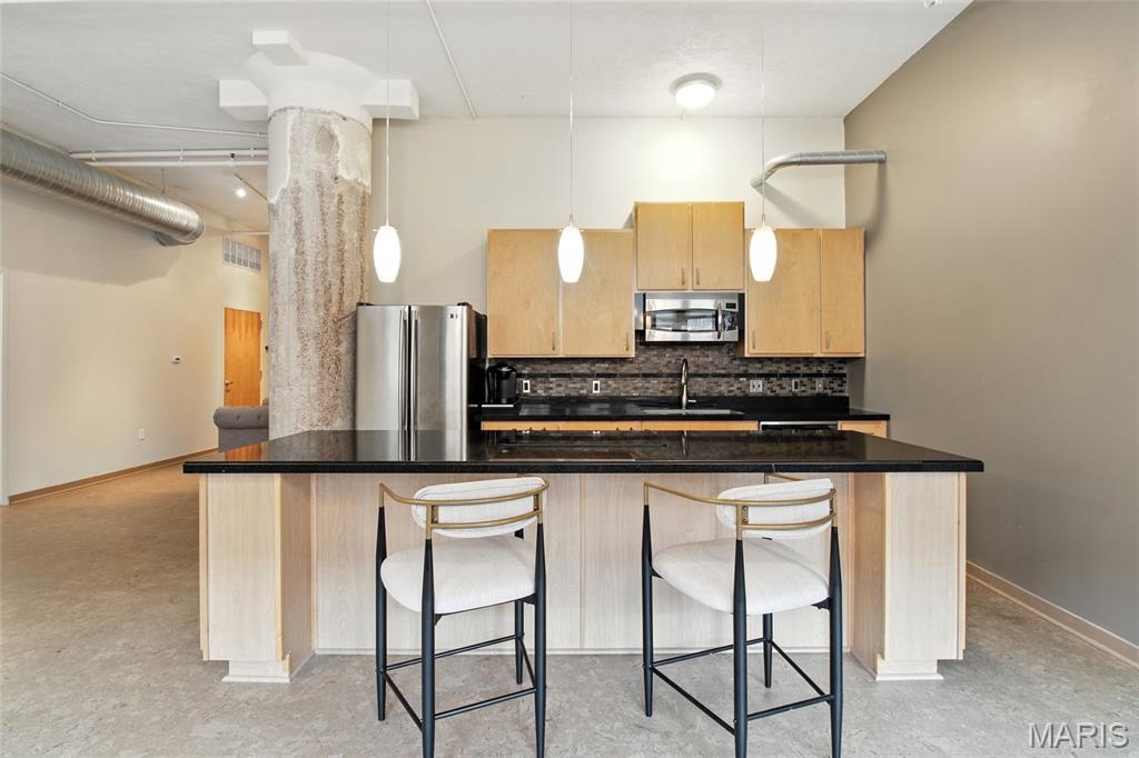 1627 Locust Street, Unit 202 St. Louis, MO 63103 - Photo 12 of 53