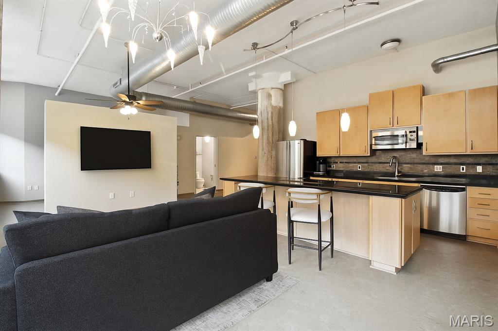 1627 Locust Street, Unit 202 St. Louis, MO 63103 - Photo 14 of 53