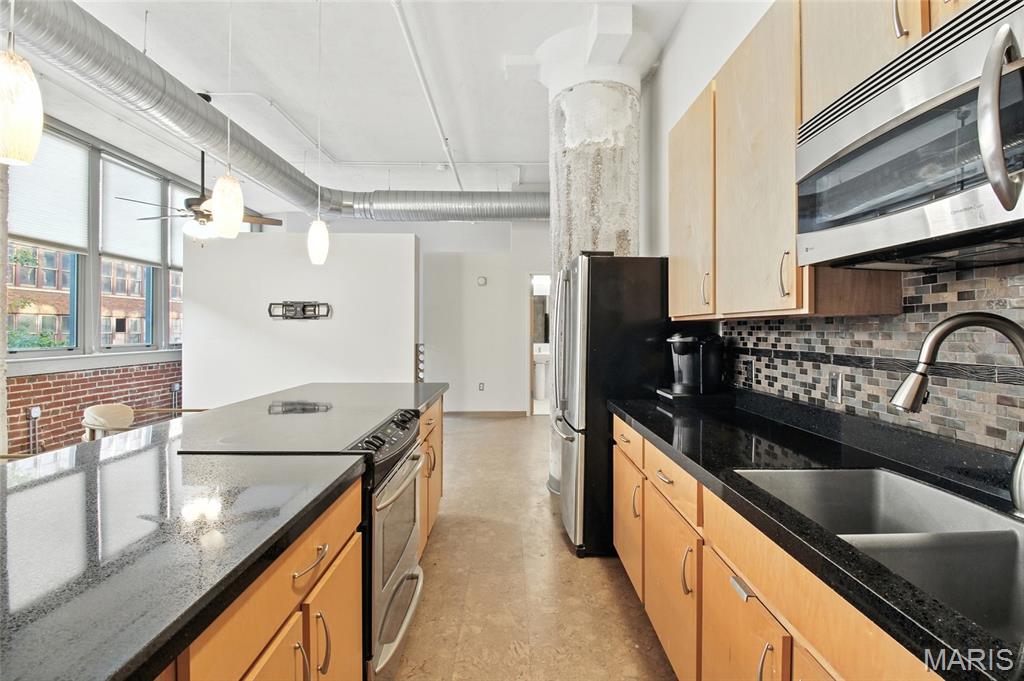 1627 Locust Street, Unit 202 St. Louis, MO 63103 - Photo 16 of 53