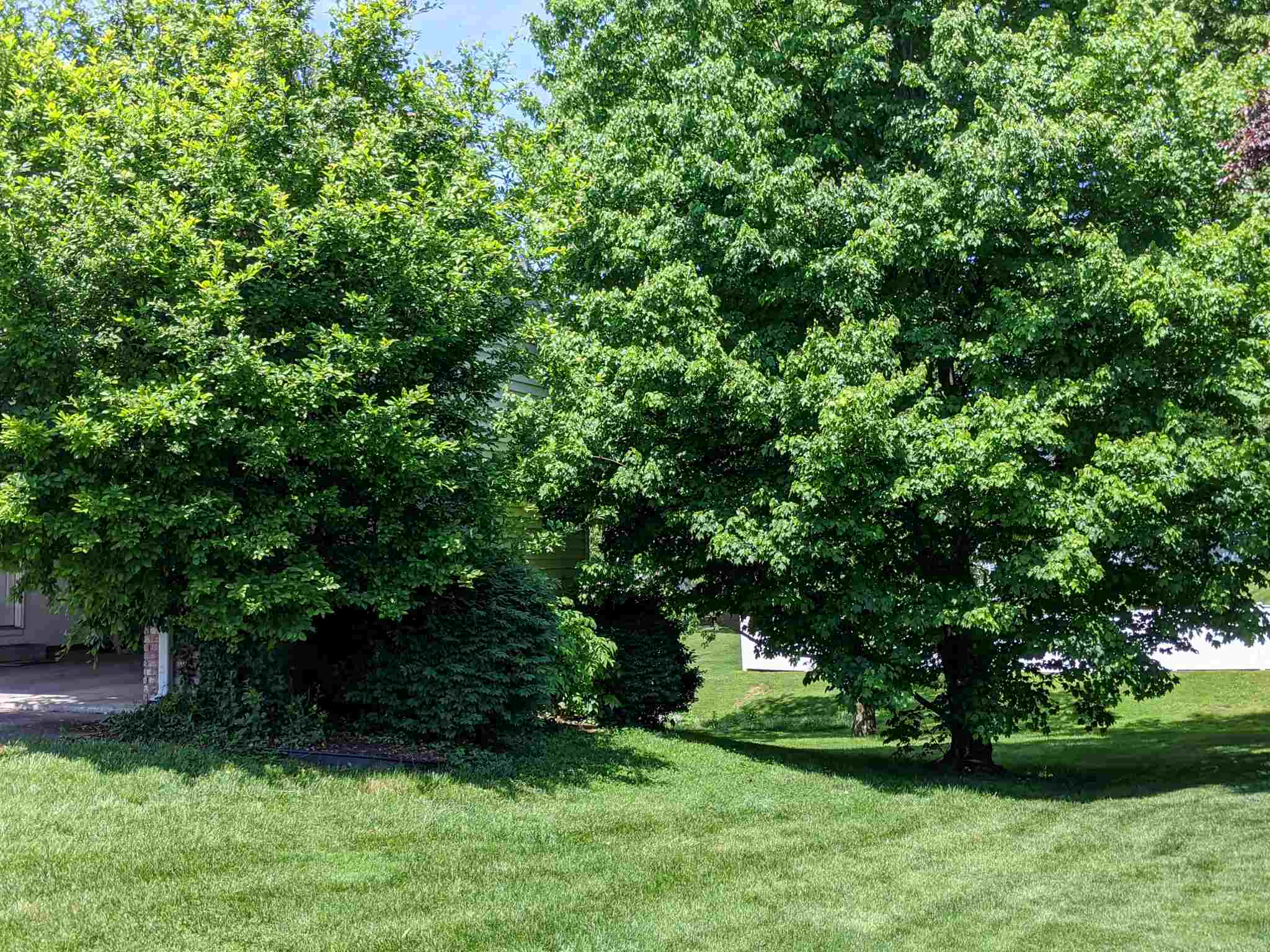 1008 Quail Ridge Circle Vincennes, IN 47591 - Photo 27 of 31 Gallery Image 27