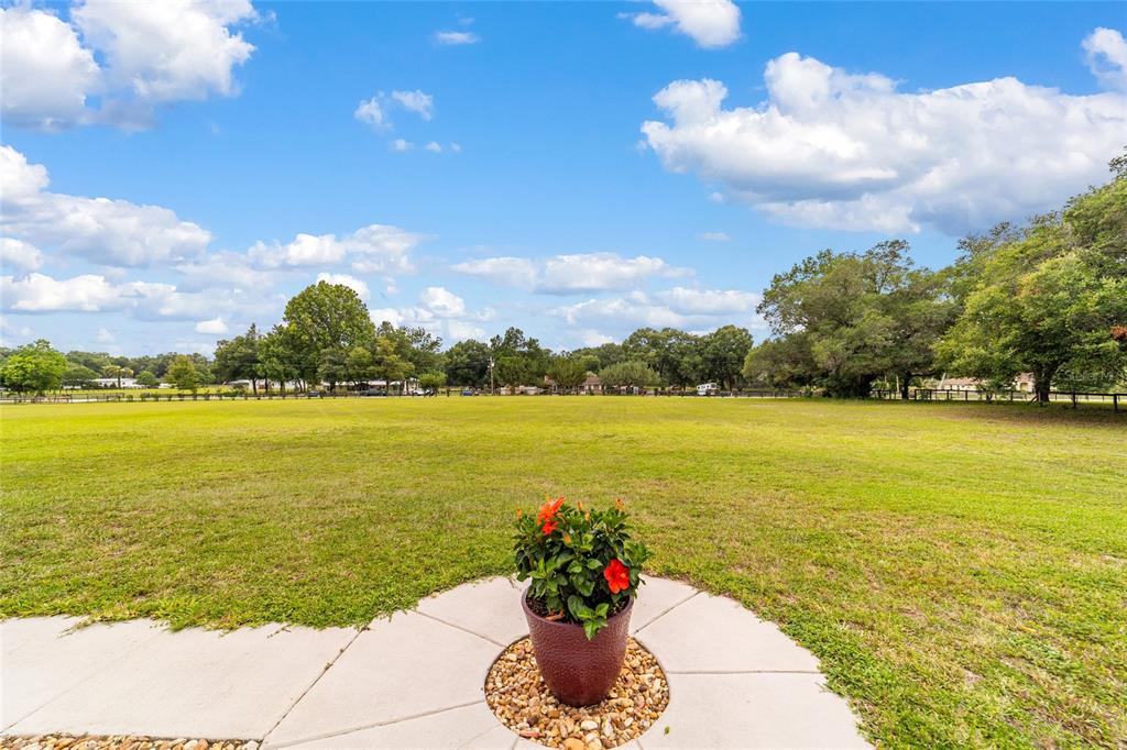 435 Northeast 155th Street Road Citra, FL 32113 - Photo 27 of 96