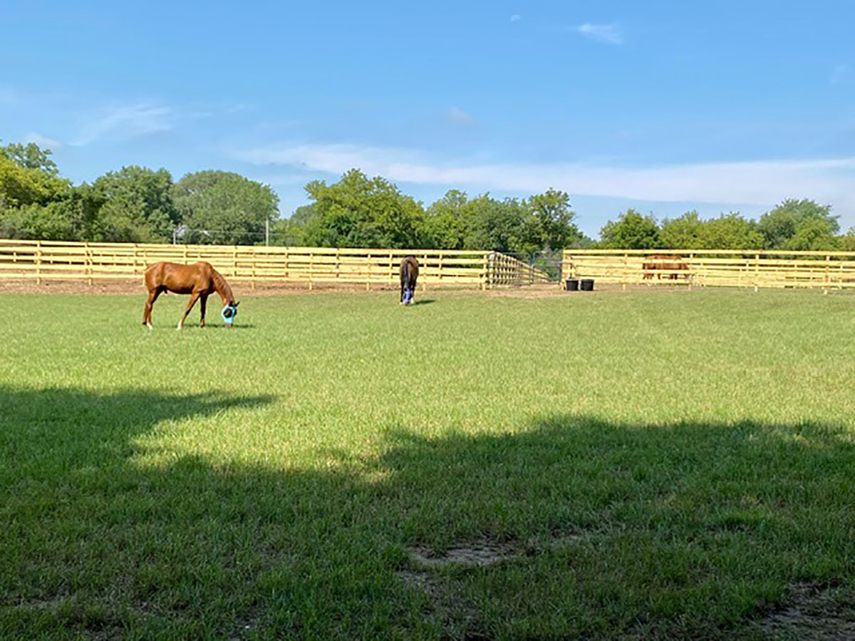 708 South Rose Farm Road Woodstock, IL 60098 - Photo 76 of 79 a view of a lake with a yard