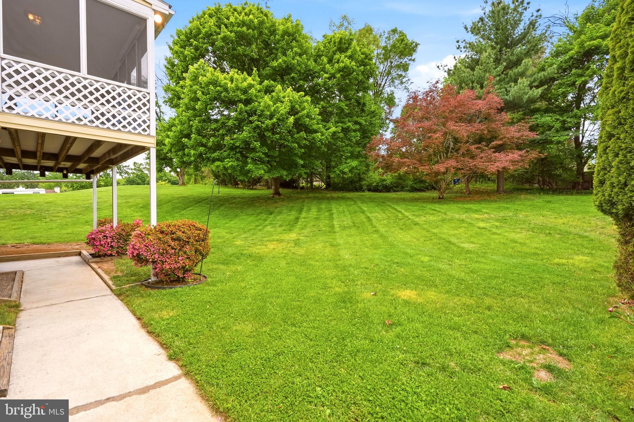 222 Coldstream Road Phoenixville, PA 19460 - Photo 43 of 50 Lush green oasis with vibrant trees.