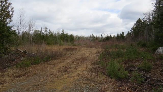 209 Bert Gray Road Sullivan, ME 04664 - Photo 29 of 34 Photo