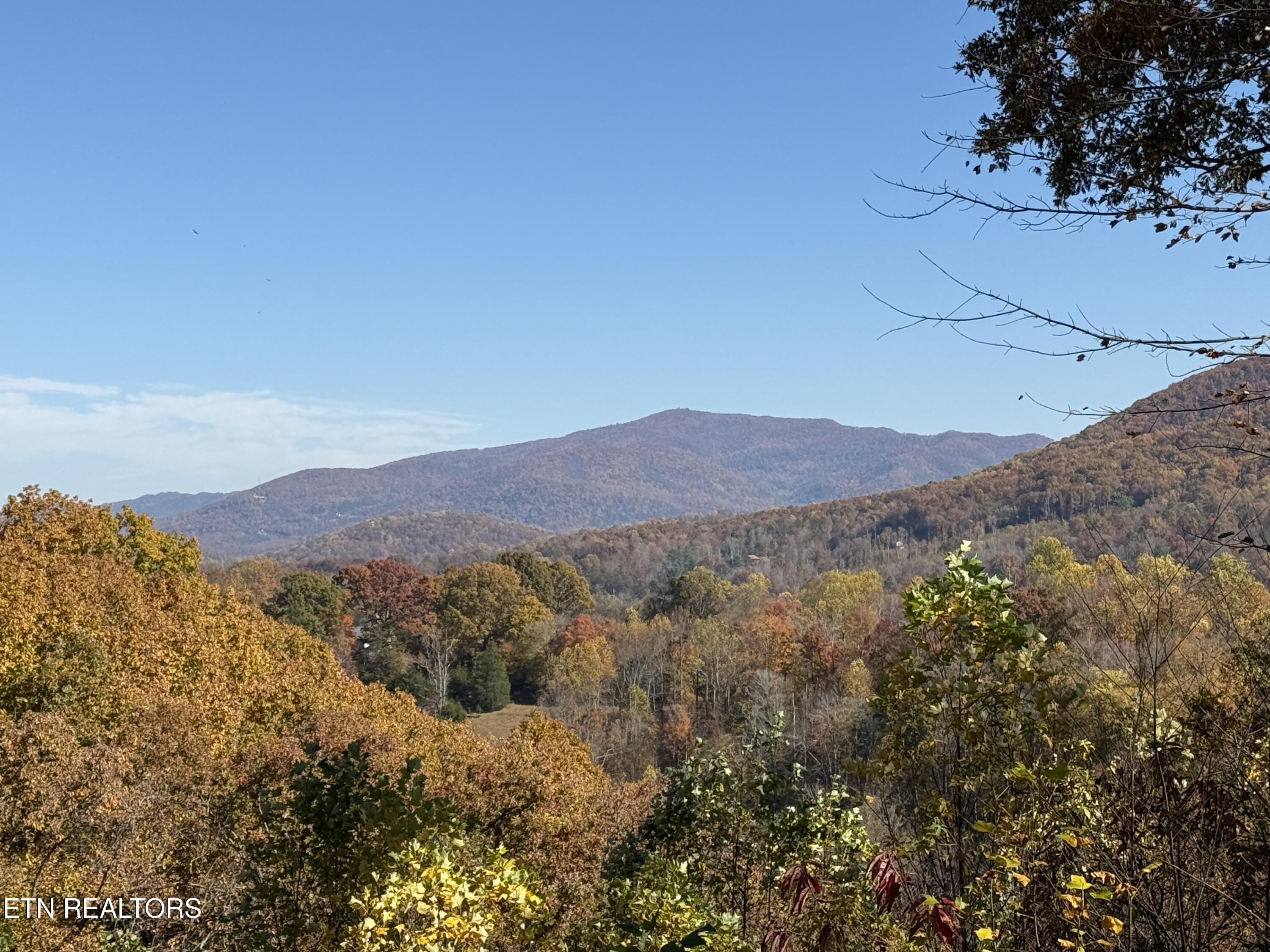 414 Gold Road Cosby, TN 37722 - Photo 53 of 58 414 Gold Rd. Pic. 4