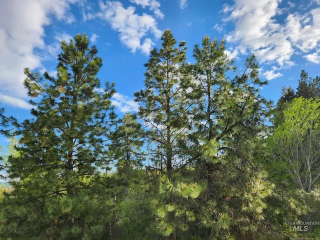 $230,000 | Tbd Ken Trail, Moscow, ID 83843