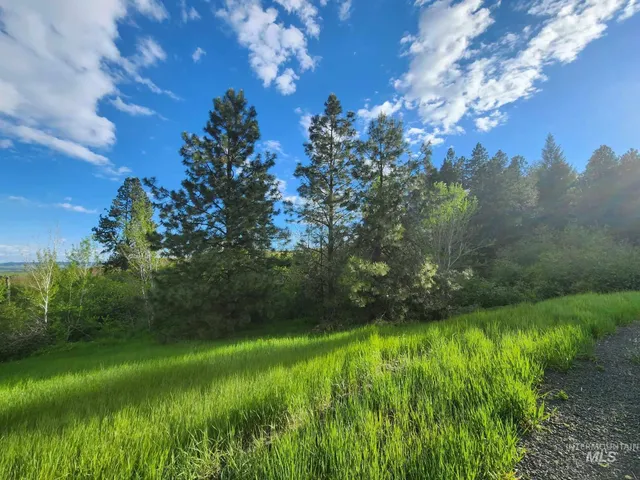 $230,000 | Tbd Ken Trail, Moscow, ID 83843