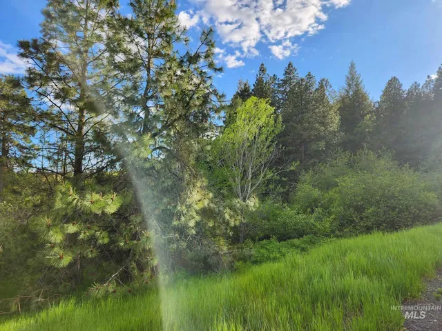 $230,000 | Tbd Ken Trail, Moscow, ID 83843
