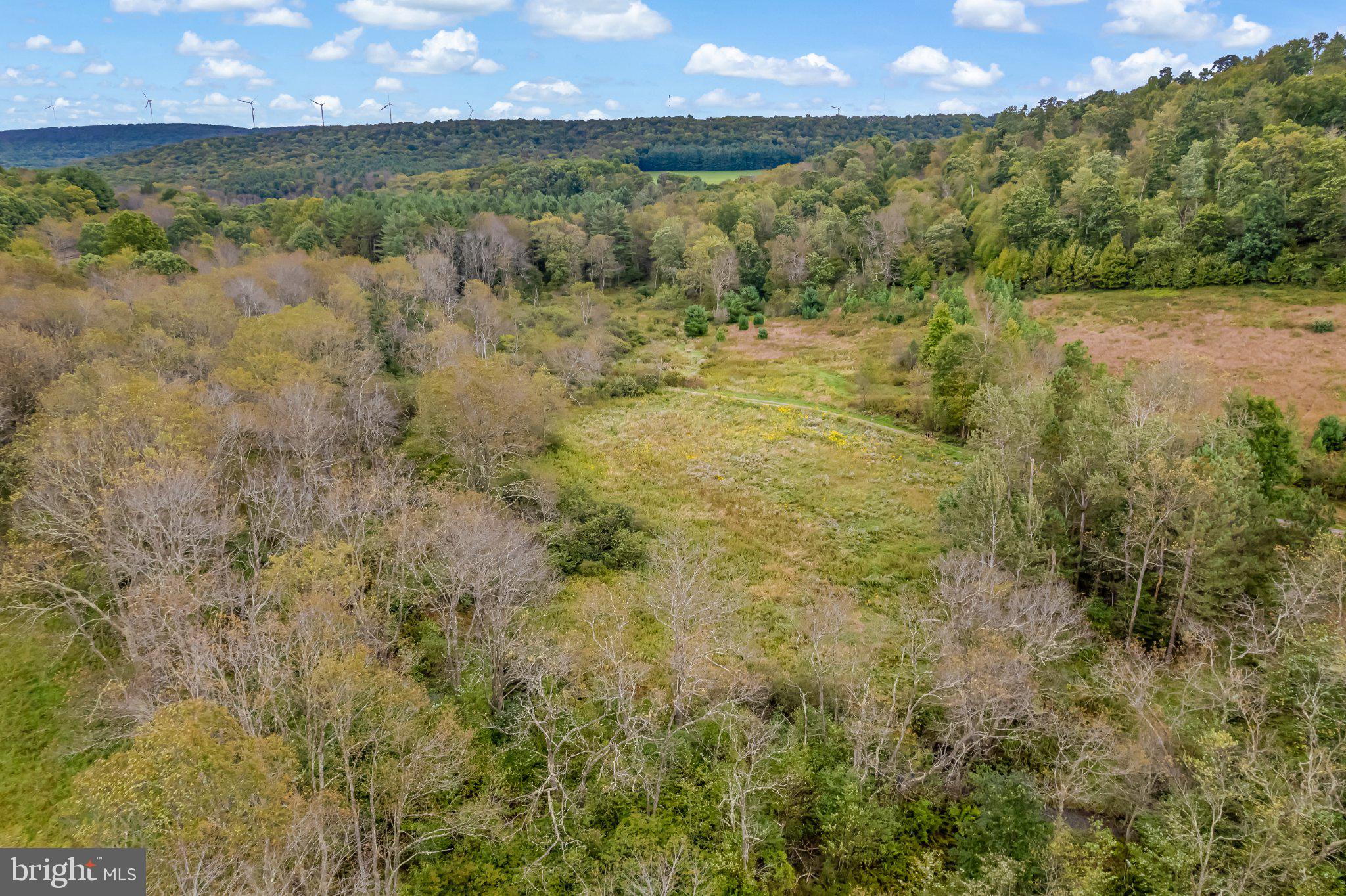 0 Calderwood Road Oakland, MD 21550 - Photo 21 of 38 Gallery Image 21