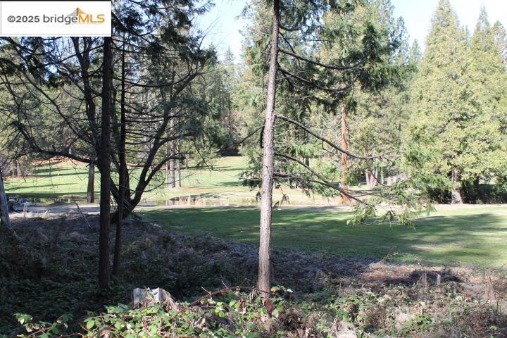 22846 Fuller Road Twain Harte, CA 95383 - Photo 34 of 40