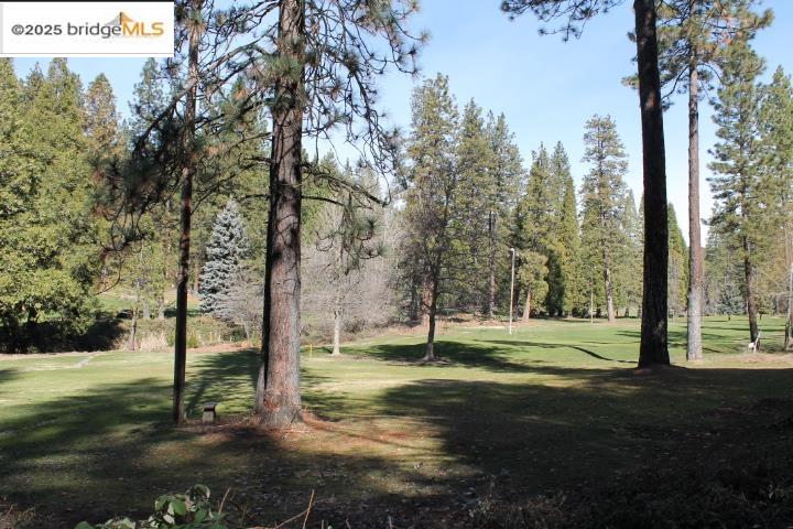 22846 Fuller Road Twain Harte, CA 95383 - Photo 35 of 40