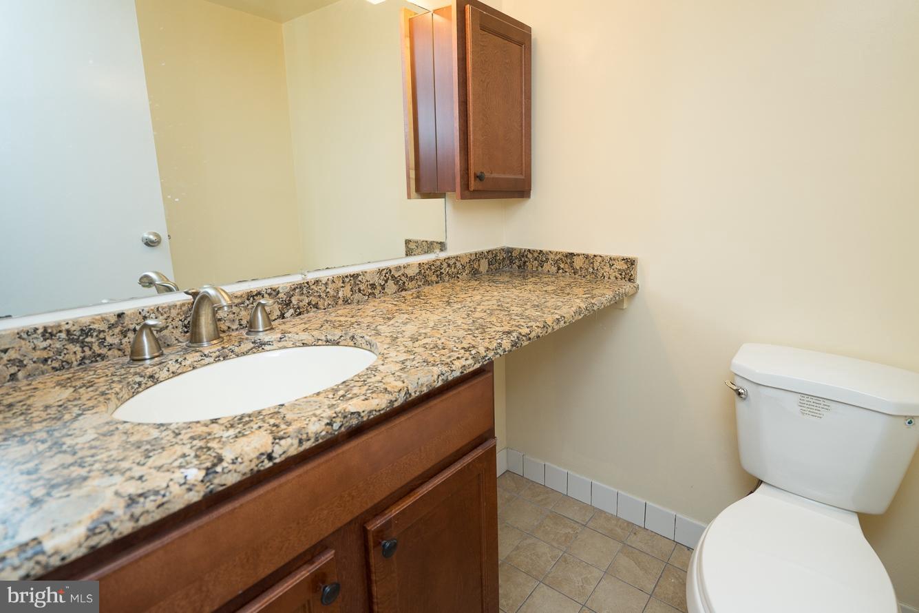 11216 Chestnut Grove Square, Unit 119 Reston, VA 20190 - Photo 13 of 16 Master Bathroom w/Ample Counter Space