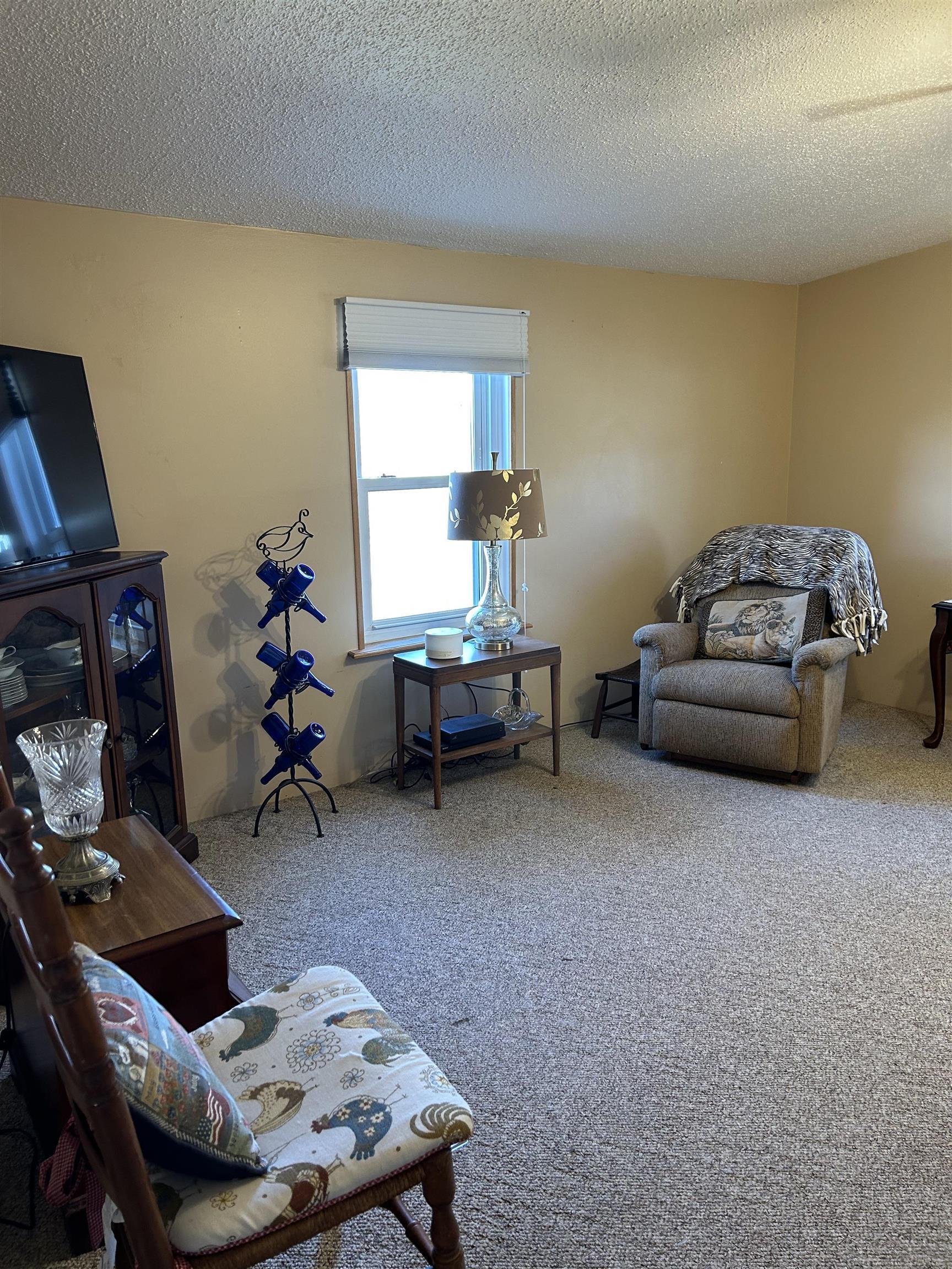 3894 South Lake George Road Dryden, MI 48428 - Photo 11 of 30