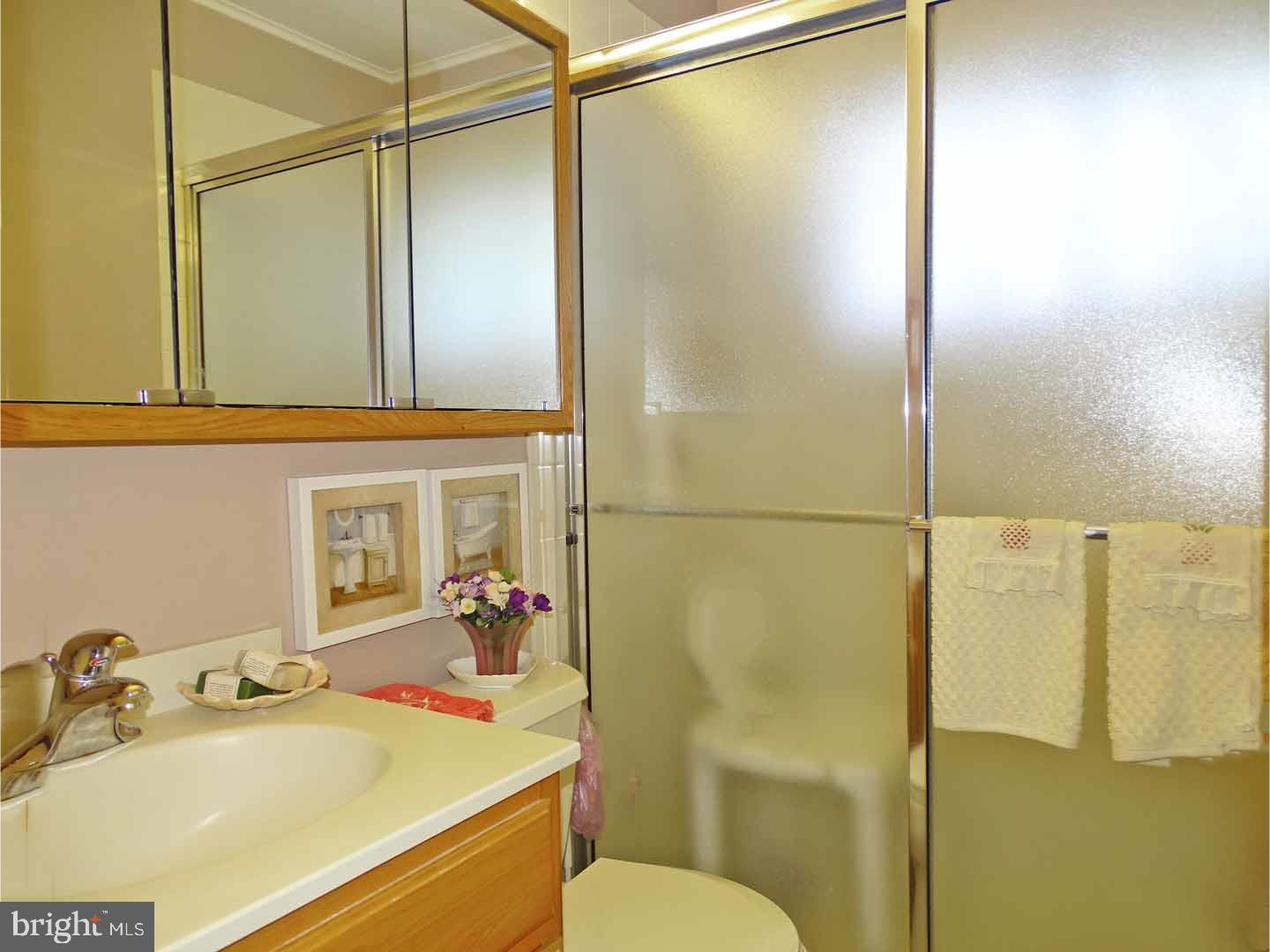 32 Cinnamon Road Levittown, PA 19057 - Photo 7 of 18 Bathroom