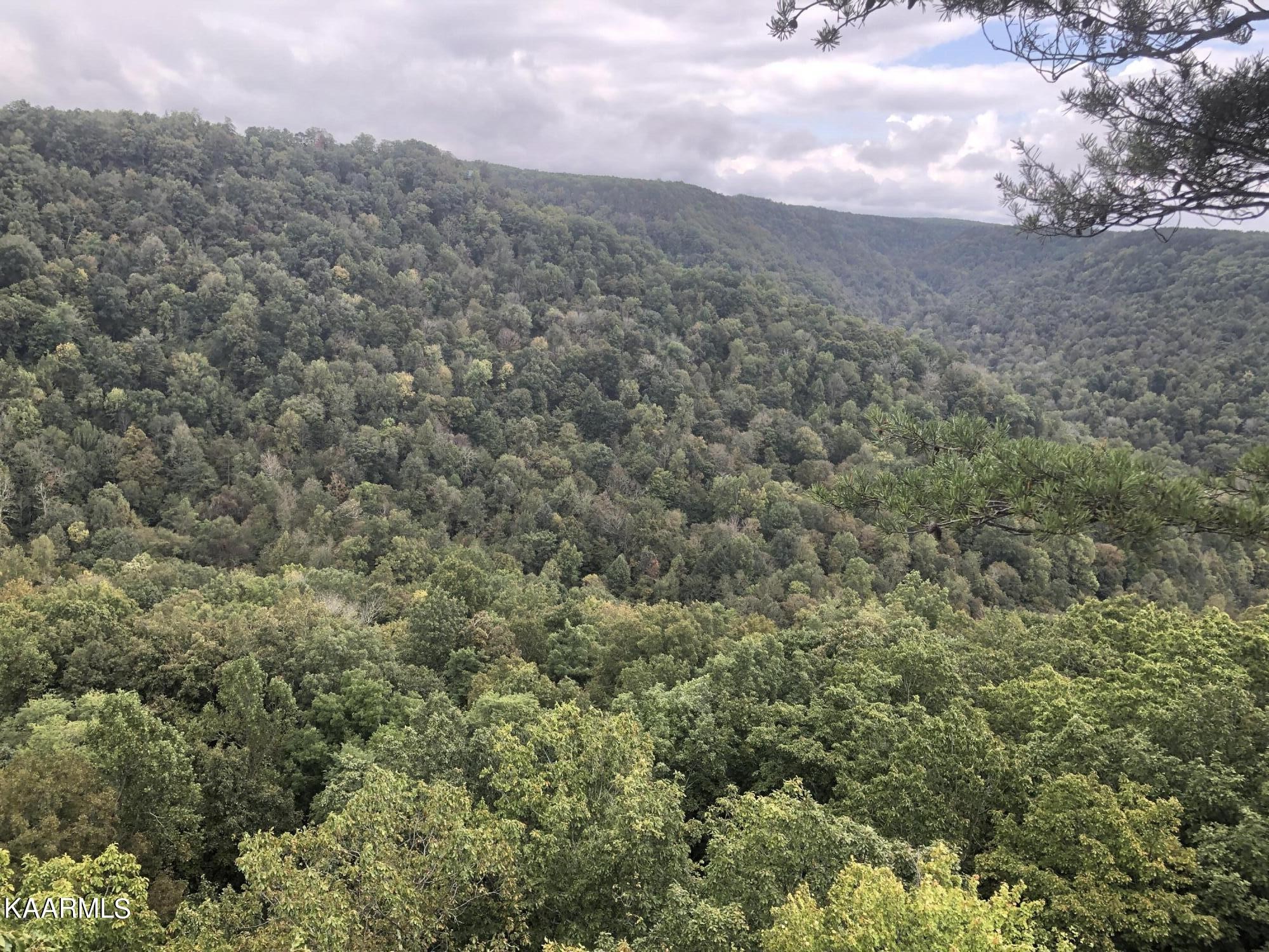 0 Grandview Bluff Road Pikeville, TN 37367 - Photo 3 of 10 Gallery Image 3