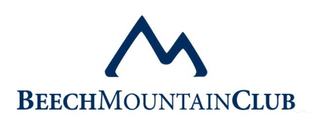 129 Lower Grouse Ridge Road Beech Mountain, NC 28604 - Photo 29 of 40