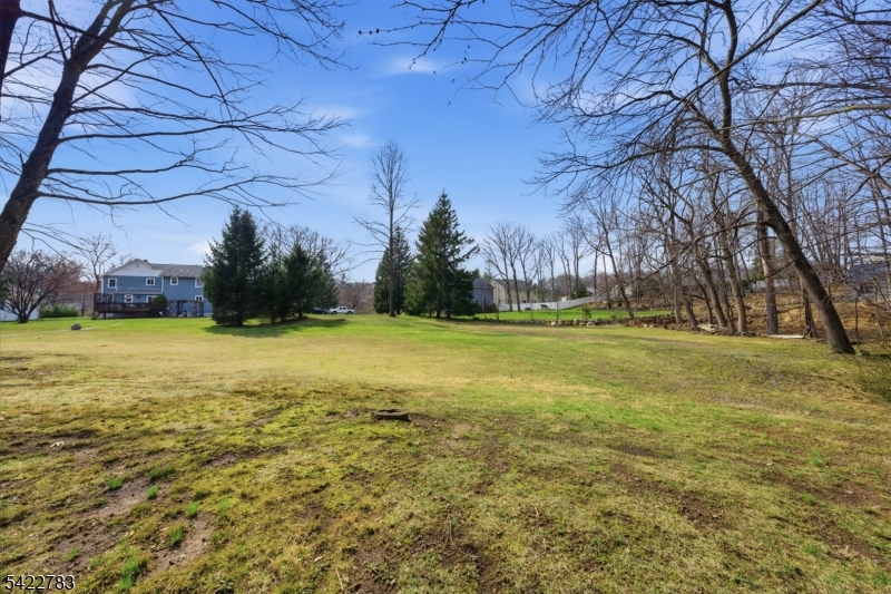 92 Mt Hope Road Rockaway, NJ 07866 - Photo 33 of 45