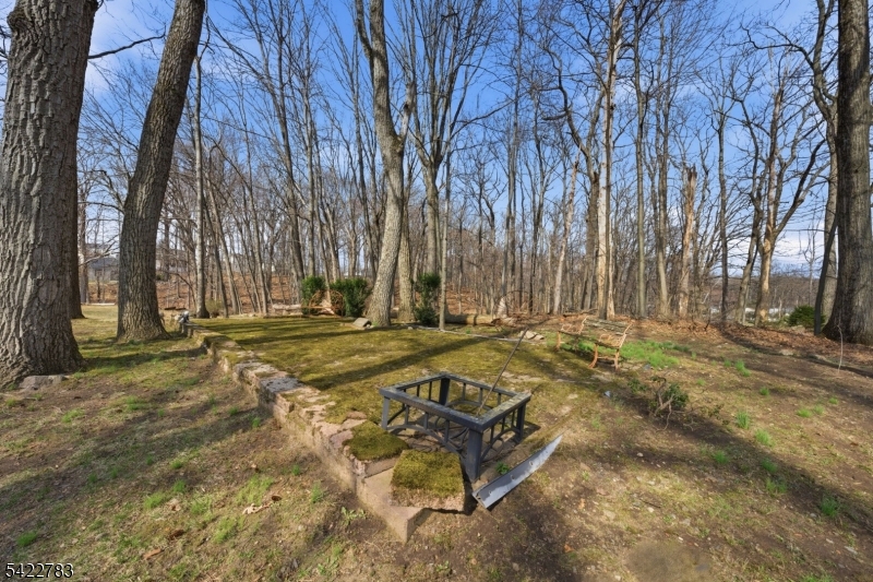 92 Mt Hope Road Rockaway, NJ 07866 - Photo 34 of 45