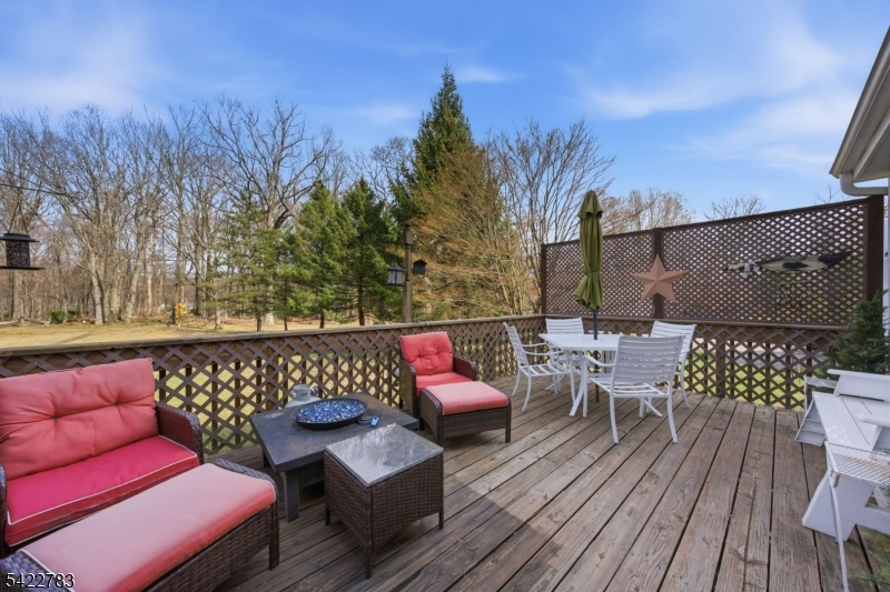 92 Mt Hope Road Rockaway, NJ 07866 - Photo 38 of 45
