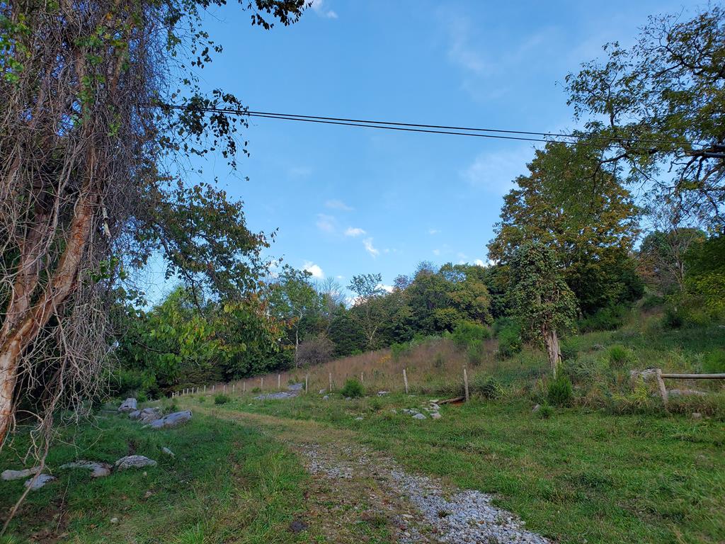 1447 Old Ebenezer Road Marion, VA 24354 - Photo 67 of 73 Gallery Image 67