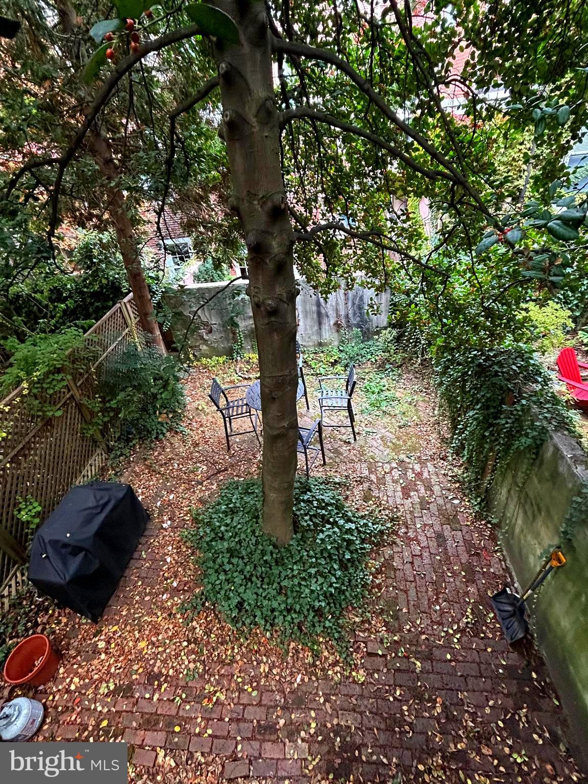 249 Pine Street, Unit 3 Philadelphia, PA 19106 - Photo 4 of 20 a view of a tree in the middle of a yard