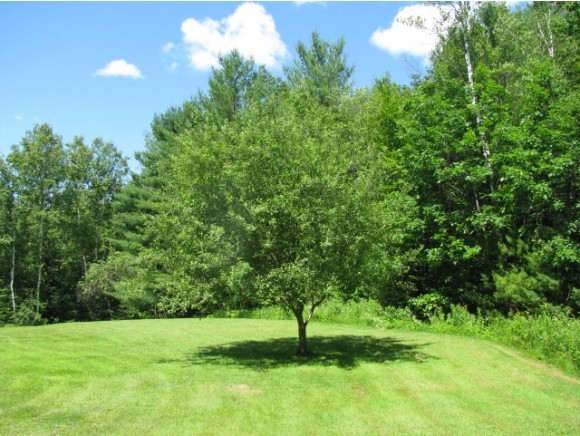 15 Overlook Road Bethlehem, NH 03574 - Photo 5 of 20