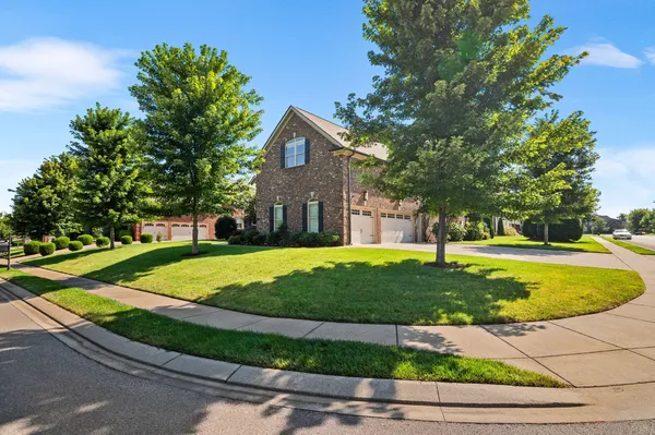 a view of outdoor space yard and green space