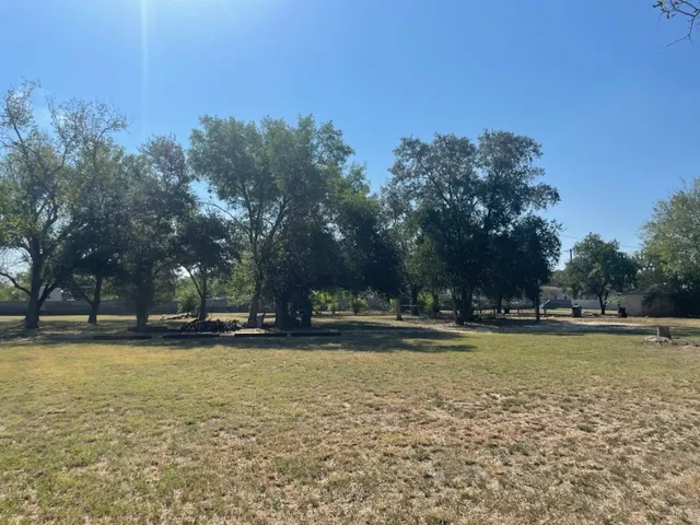 a view of a swimming pool and trees in the background