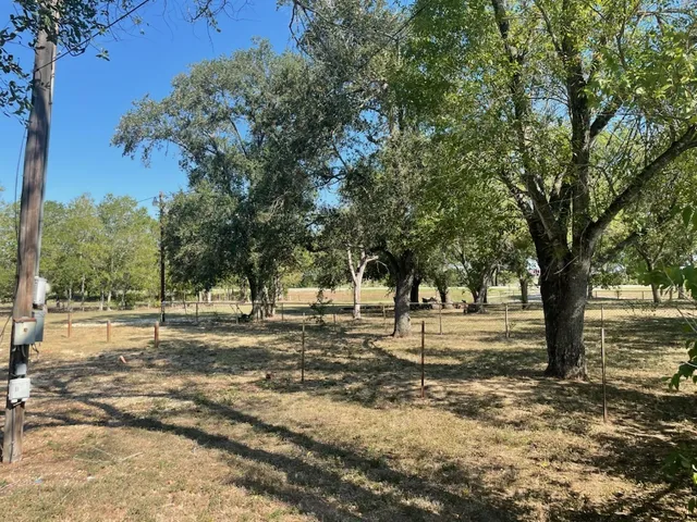 a view of a yard with trees